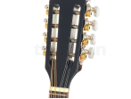 Бузуки Thomann Irish Bouzouki M1089 BK