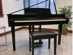 Цифровой рояль Kawai DG 30 EP