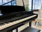 Цифровой рояль Kawai DG 30 EP
