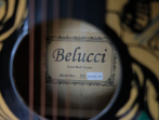 Гитара акустическая Belucci BC-3810 YGS-1347