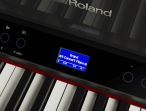 Цифровое пианино Roland LX-9 PE - чёрный полированный