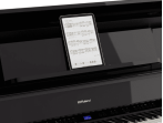Цифровое пианино Roland LX-9 PE - чёрный полированный