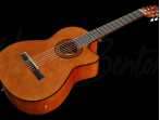 Классическая гитара со звукоснимателем Harley Benton CG300CE NT