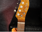 Электрогитара Harley Benton Fusion-T HH Roasted SSP