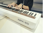 NPK-20-WH Цифровое пианино, белое, Nux