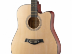 Акустическая гитара Fante FT-221-N (дубль)