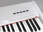 Цифровое пианино Sai Piano P-9WH