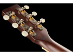Акустическая гитара Gretsch JD Parlor WPG RXB