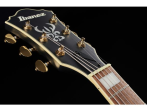 Полуакустическая гитара Ibanez AS73 G BKF