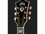 Акустическая гитара Guild F-55 NAT USA
