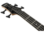 Бас-гитара Ibanez GSR280QA-TMS