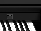 Цифровой рояль Ringway GDP-1120 GB