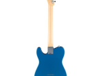 Электрогитара Fender Standard Tele MN WPG AMM