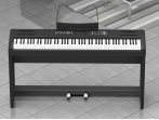 Цифровое пианино Ringway RP-35 B