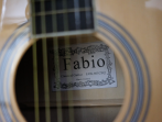 Электроакустическая гитара Fabio FAW-801 CEQ
