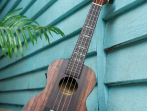 Укулеле концерт FLIGHT DUC 460 AMARA