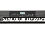 Рабочая станция KORG Pa300