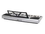 RK-107 Синтезатор, 61 клавиша, с восточными тембрами, Rin