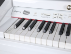 Цифровой рояль Ringway GDP6320 Polish White