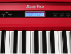 Цифровое пианино EMILY PIANO D-20 RD