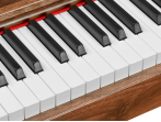 Цифровое пианино EMILY PIANO D-47 Walnut
