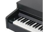 AU110-BK Цифровое пианино со стойкой, черное, Aurora