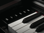 Цифровое пианино Casio Celviano AP-550 BK - чёрный