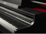 Цифровое пианино Casio Celviano AP-550 BK - чёрный