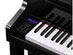 Цифровое пианино Casio Grand Hybrid GP-510 BP