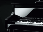 Цифровое пианино Casio Grand Hybrid GP-510 BP