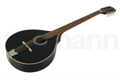 Бузуки Thomann Irish Bouzouki M1089 BK