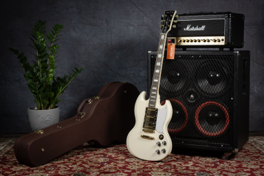 Электрогитара Harley Benton DC-600 VI Vintage Bundle