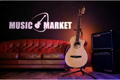 Классическая гитара Taylor 312ce-N Nylon со звукоснимателем