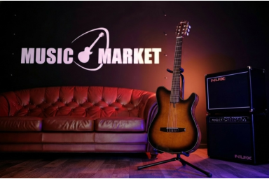 Классическая гитара Ibanez FRH10N-BSF