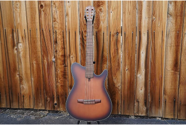Классическая гитара Ibanez FRH10N-BSF