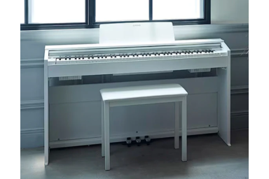 Цифровое пианино Casio px-870 we (bundle)