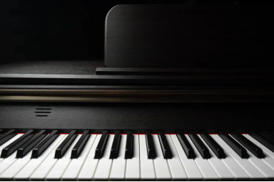 Цифровое пианино Antares W-600 BR