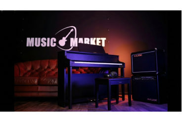 Цифровое пианино Casio Celviano Grand Hybrid GP310 | GP-310 BK