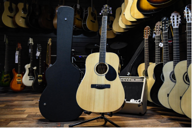 Акустическая гитара Greg Bennett D2/N