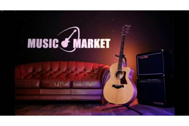 Электроакустическая гитара Taylor 14ce