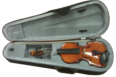 Скрипка Fleet FLT-VP1/2