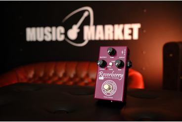 Цифровой ревербератор AMT Electronics  Reverberry RY-1