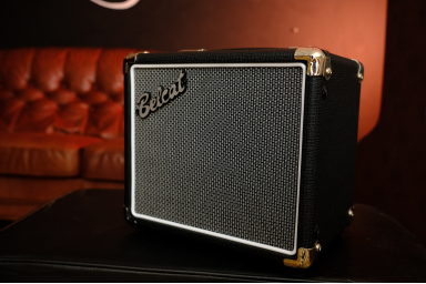 Гитарный комбоусилитель Belcat Merit-10