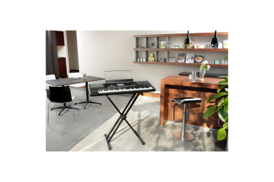 Рабочая станция KORG Pa300