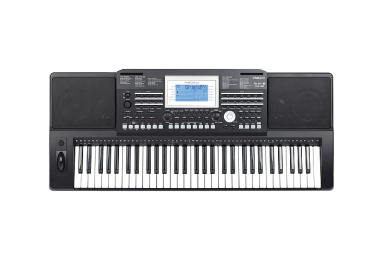 Синтезатор Medeli A810