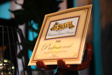 Комплект профессиональных струн для классической 7-струнной гитары La Bella 7SG