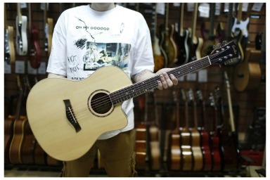 Акустическая гитара Sevillia IWC-39M NA