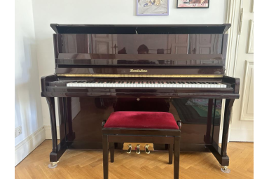 W123WL Пианино акустическое, орех, с банкеткой Wendl &amp; Lung