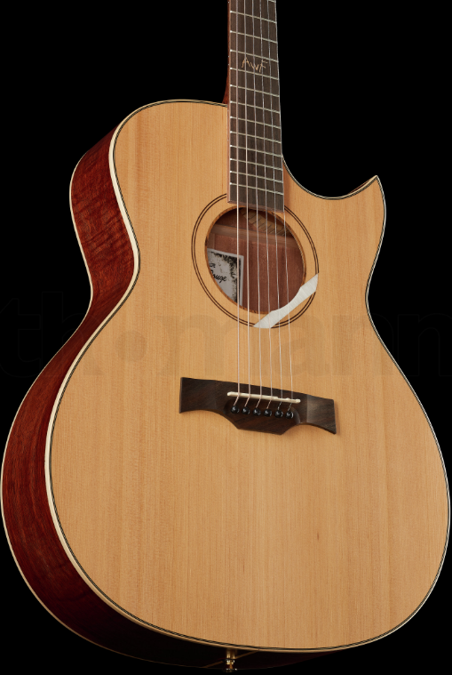 Акустическая гитара Baton Rouge X6C/AC-AF