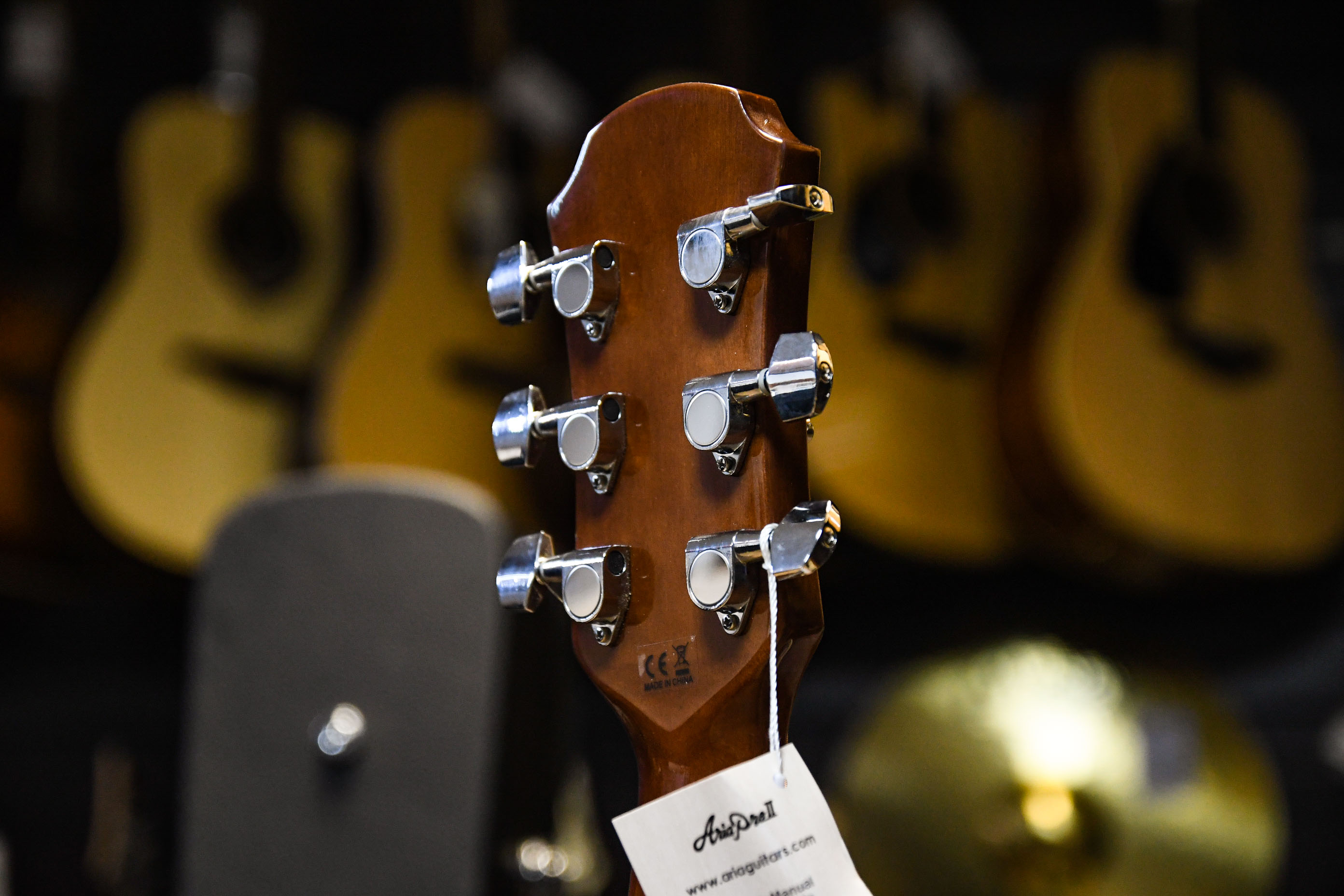 Акустическая гитара ARIA AFN-15 N